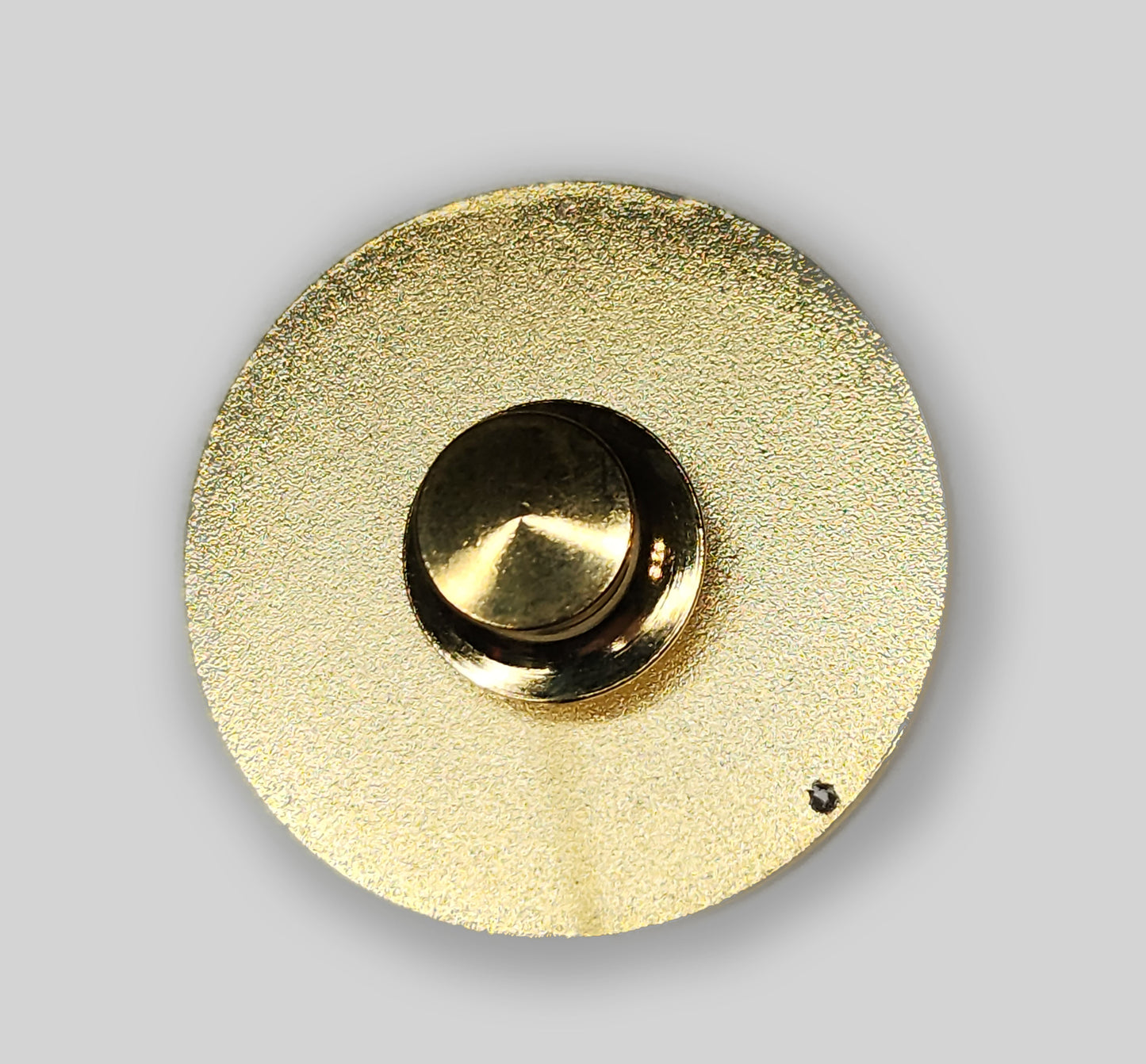 CCS Lapel Pin